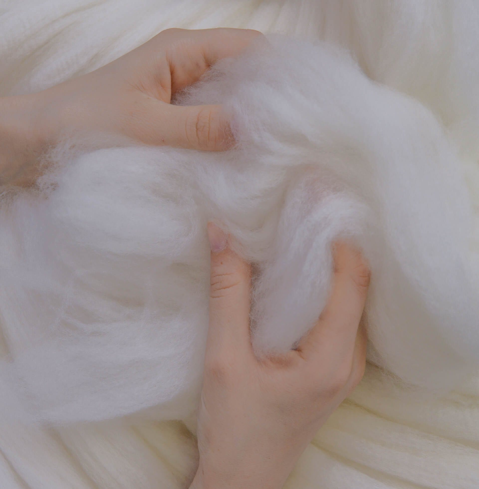 Raw wool cashmere